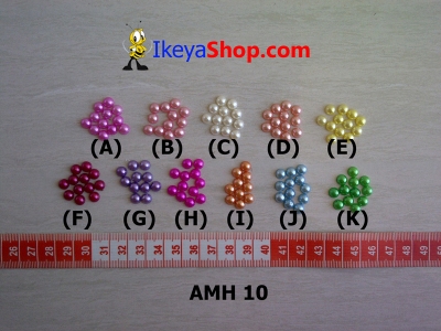 AMH 10  large2